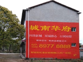 景谷百分之90的人都不了解的农村墙体广告