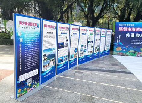 景谷KT板的种类和知识。